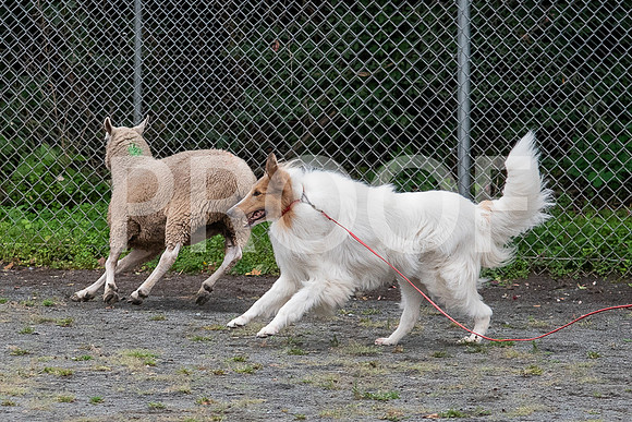 CCA_Instinct_Saturday-76