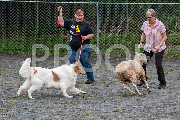 CCA_Instinct_Saturday-74