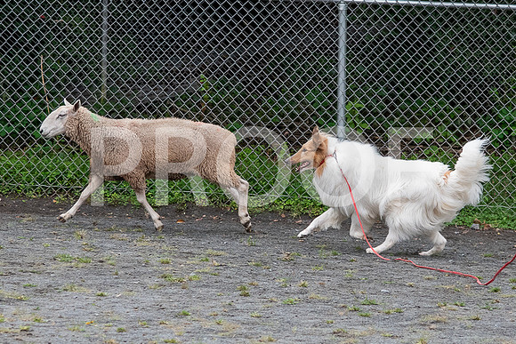 CCA_Instinct_Saturday-75