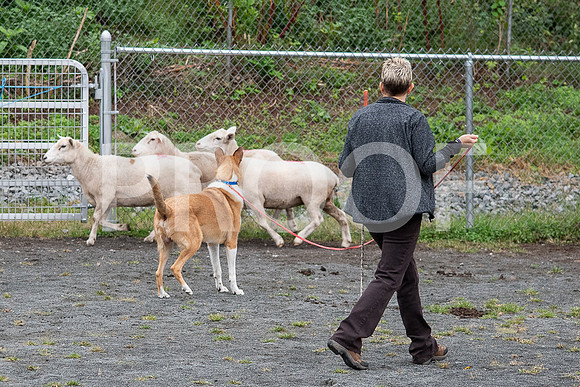 CCA_Instinct_Saturday-1