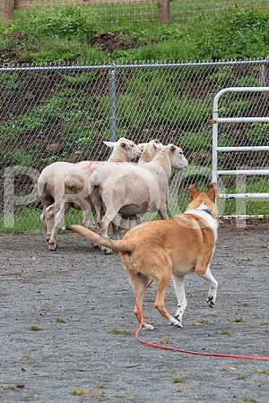 CCA_Instinct_Saturday-2