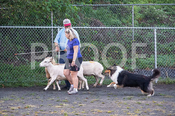 CCA_Instinct Sunday-72