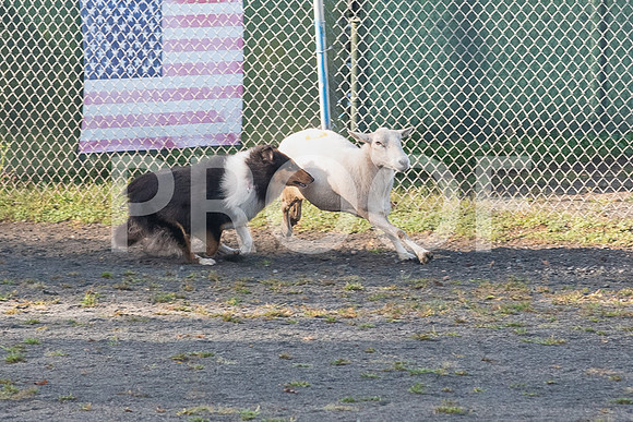 CCA_Instinct Sunday-78
