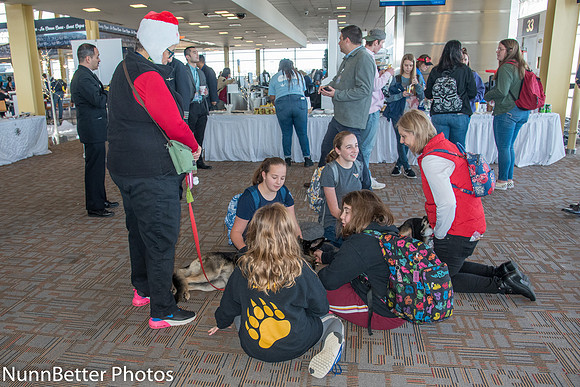 NBP Snowball Express 2019-21
