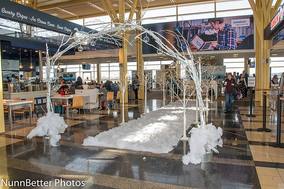 NBP Snowball Express 2019-8
