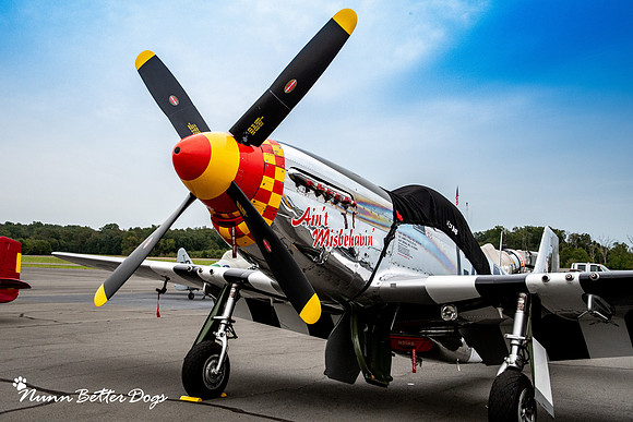 NBP D500_AOD plane shoot 2020-4