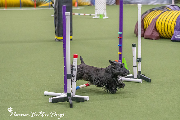 NBD_CPE Superpup agility-127