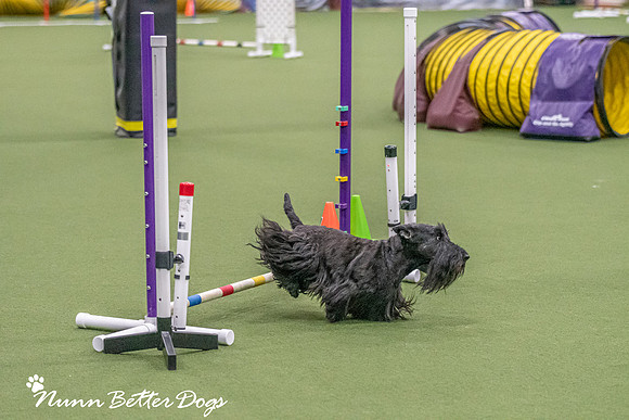 NBD_CPE Superpup agility-128