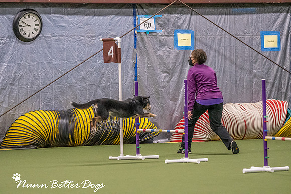 NBD_CPE Superpup agility-5