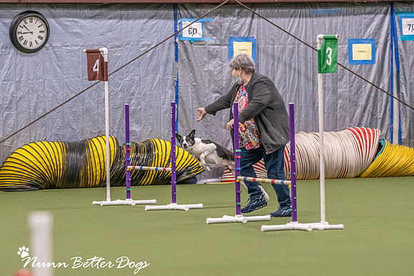 NBD_CPE Superpup agility-13