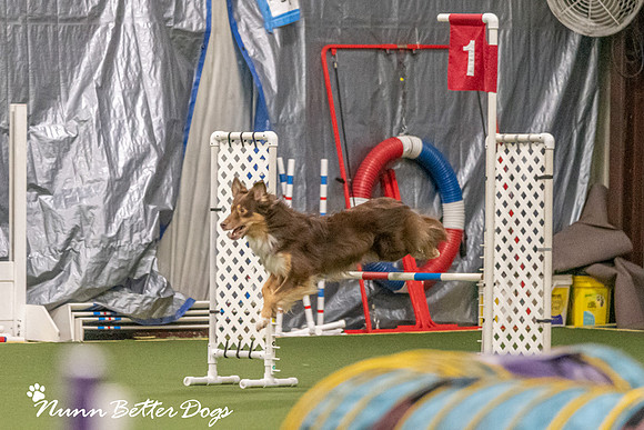NBD_CPE Superpup agility-37
