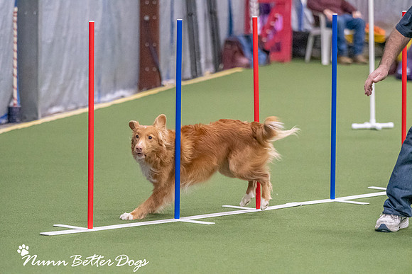NBD_CPE Superpup agility-23