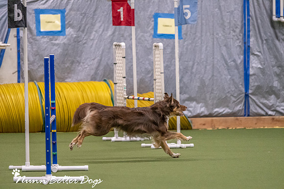 NBD_CPE Superpup agility-38