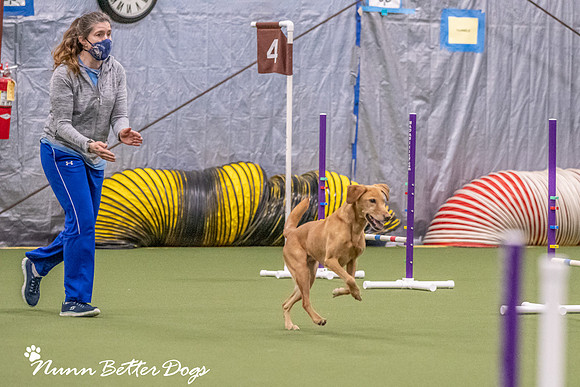 NBD_CPE Superpup agility-42