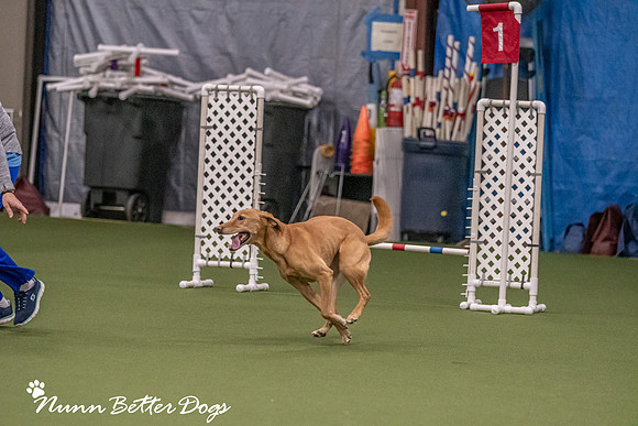 NBD_CPE Superpup agility-43
