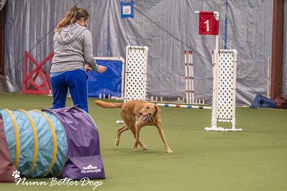 NBD_CPE Superpup agility-46