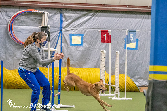 NBD_CPE Superpup agility-49