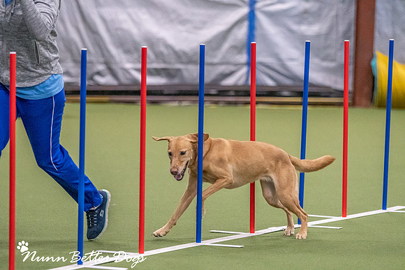 NBD_CPE Superpup agility-50