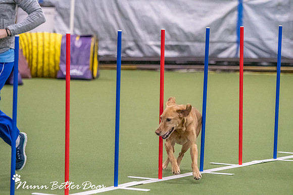 NBD_CPE Superpup agility-52
