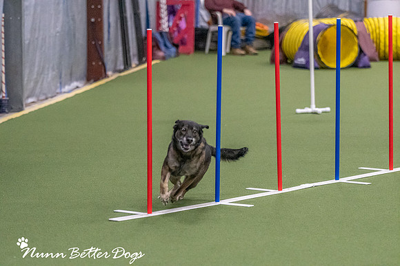 NBD_CPE Superpup agility-67