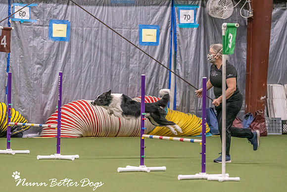 NBD_CPE Superpup agility-87