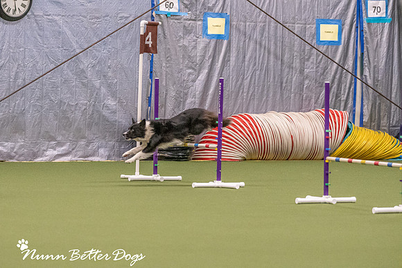NBD_CPE Superpup agility-94