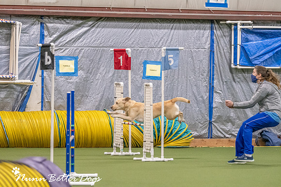 NBD_CPE Superpup agility-105