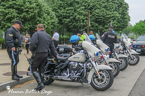 NBD_250K Honor Flight-27