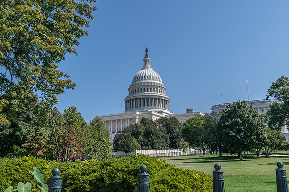 NBP_14 Capital-12