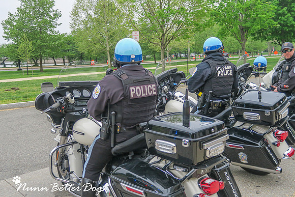NBD_250K Honor Flight-28