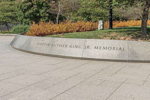 13 MLK-6